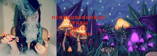 скорость Белокуриха