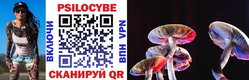 Псилоцибиновые грибы Cubensis  Реутов 